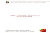 Medio de Cosecha para Plantaciones de Frutilla Hidropònica con planos inc..pdf