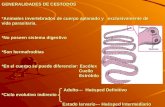 Cestodos Taeniasis y Cisticercosis