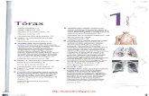 TORAX-Anatomia Con Orientacion Clinica Moore