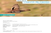 Guia Aves de Yambo