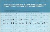 24 - Estructuras Algebraicas VII (Estructuras de Álgebras)
