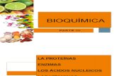 Bioquímica:  Las proteínas, los áciso nucleicos y las vitaminas.
