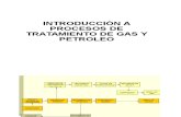 Cap 1 Procesos Del Gas
