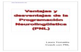 Ventajas y Desventajas de La Programacion Neurolinguistica PNLción Neurolingüística