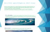 Acción Geológica Del Mar - Semana 10