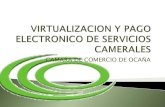 Virtualizacion y Pago Electronico de Servicios Camerales