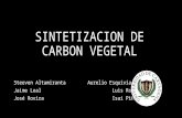 Sintetizacion de Carbon Vegetal