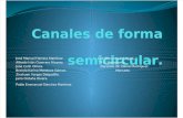Canales de Forma Semicircular