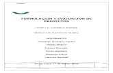 Informe de Formulacion y Evaluacion de Proyectos (1)