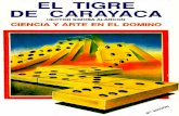 Ciencia y Arte en El Domino, 8va Edición - Héctor Simosa Alarcón
