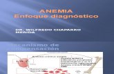 2. Enfoque Diagnóstico de Las Anemias 1