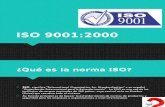 Mejora de La Calidad ISO-9001