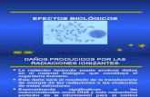 Efectos Biologicos de Las Radiaciones1