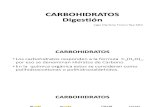 Digestión de Los Carbohidratos LMFR