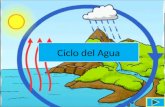 Ciclo Del Agua Precentacion
