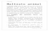 Maltrato Animal Word Resumen