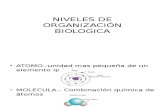 Niveles de Organización Biologica (2)