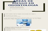 Áreas de Riesgo en Odontología