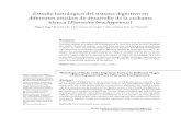 Artículo Histología Cachama blanca1.pdf