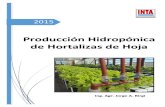 40-Hidroponica de Hortalizas