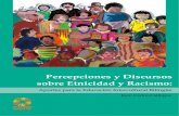 Calliros Percepciones y Discursos Sobre Etnicidad y Racismo