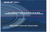 La Seguridad Pública en Veracruz… un Reto Alcanzable