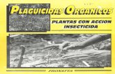 Plaguicidas Organicos - Plantas Con Accion Insecticida