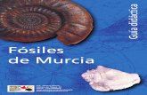 Guia didactica Murcia