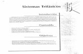 Apuntes Trifasica T Industrial2