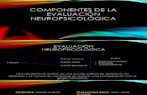 Componentes de La Evaluación Neuropsicológica