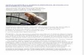Auto Nº 627/2014 de la Audiencia Provincial de Palma (7-11-2014) sobre el Caso Noos