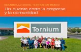Desarrollo Social Ternium en México