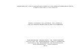 Caracterizacion crudo CEC.pdf