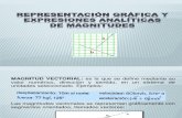 REPRESENTACIÓN Y EXPRESIONES ANALÍTICAS DE MAGNITUDES.pdf