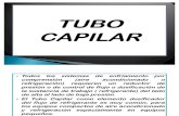 51678905 Tubo Capilar