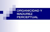 Organicidad y Madurez Perceptual5