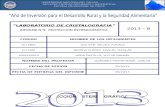 INFORME N°6: PROYECCION ESTEREOGRÁFICA / “LABORATORIO DE CRISTALOGRAFIA”