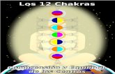 Los 12 Chakras