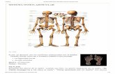 Biodescodificación_ Sistema Osteo-Articular