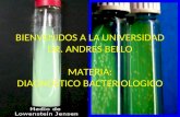 1º Clase de Bacteriologia