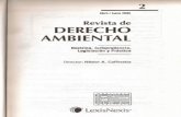 Regulación Ambiental de Los Servicios Públicos en Argentina.compressed