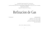 Nuevo El Gas Como Materia Prima de La Petroquímica