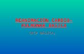 Reanimación Cardio-pulmonar Basica