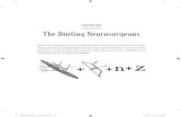 Dueling Neurosurgeons