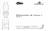 REPARACION DE POZOS I NIVEL 3_01.pdf