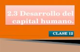 Desarrollo Del Capital Humano