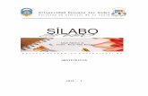 SILABO 2014-1 Salud publica II.docx