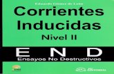 Corrientes Inducidas Nivel II