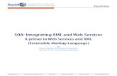 Horizons WSXML Primer v3
