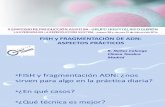 Rocío Núñez - FISH y fragmentacion de ADN -  II Simposio Reproducción Asistida Quirón